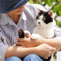 Arapahoe Animal Hospital