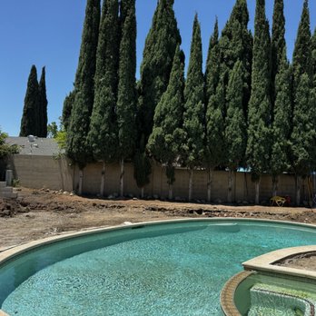 Paez Tree Service - Tree Services Near Me - Anaheim, California Paez Tree Service - Tree Services Near Me - Anaheim, California