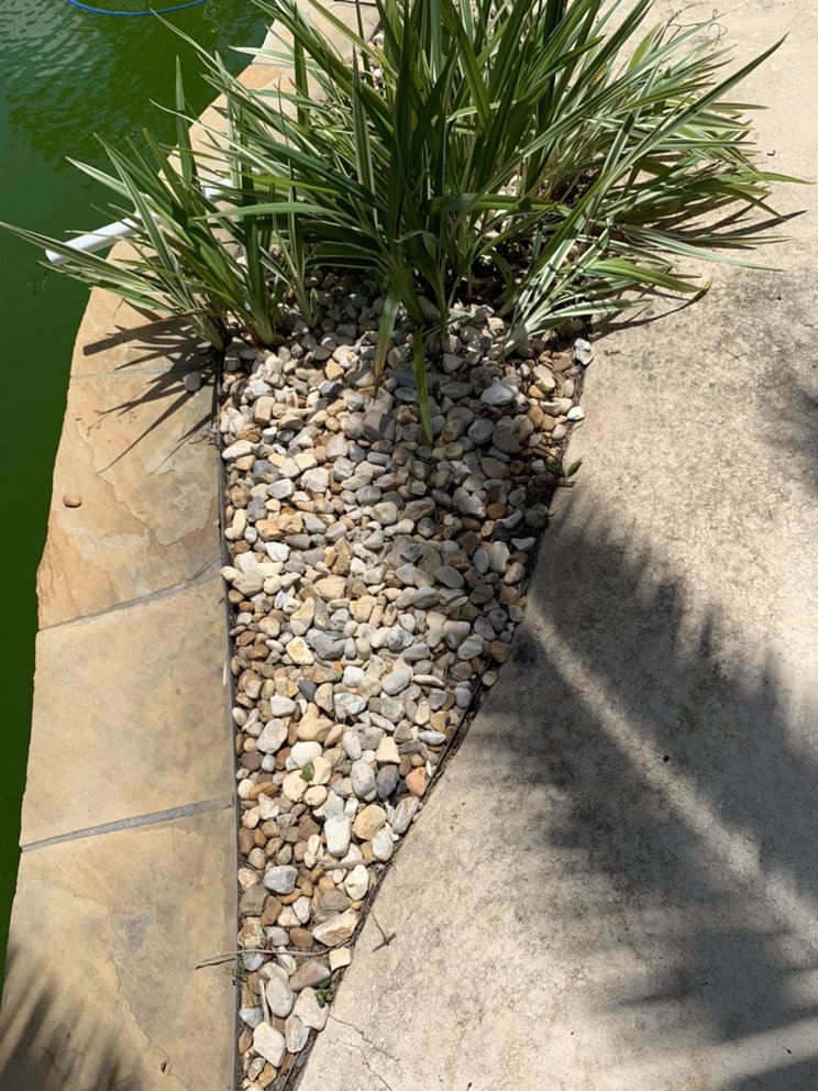 Slide of Structure Ace