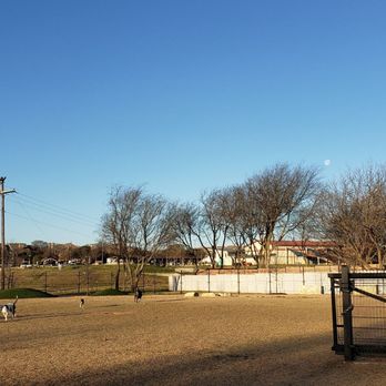 Willow Bend Dog Park - Looking out toward the Western side of the park - Dog Parks Near Me - Austin, Texas