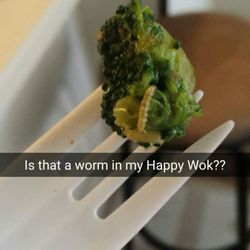 Happy Wok