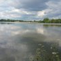 Photo of Etangs d'Apigné