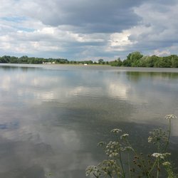 Etangs d'Apigné