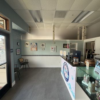 ShamPooches - Pet Groomers Near Me - San Ramon, California