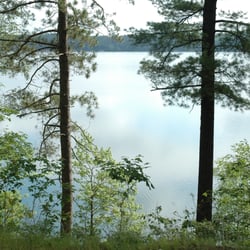 Blue Lake Pines Lodge & Suites - View from all suites