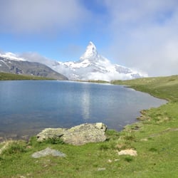 Stellisee