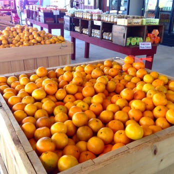 Joshua Citrus - Nice looking and tasting oranges - Fruits & Veggies Near Me - Arcadia, Florida