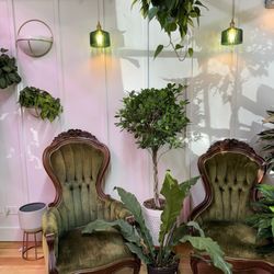 The Gay Ole Plant Shop