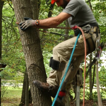 Greenleaf's Tree Service - Tree Services Near Me - Tyngsboro, Massachusetts Greenleaf's Tree Service - Tree Services Near Me - Tyngsboro, Massachusetts