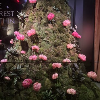 Genesis House - Live flowers - Korean Near Me - New York, New York