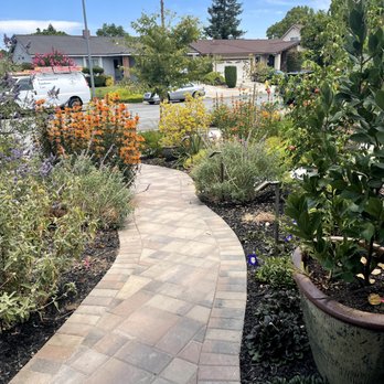 Golden Sky Landscape - After - graded clear path to home through visitors - Landscaping Near Me - San Jose, California