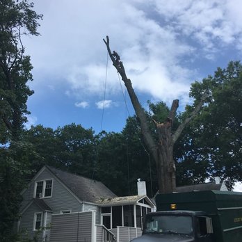 Dominion Tree Care Specialists - Tree Services Near Me - Moneta, Virginia