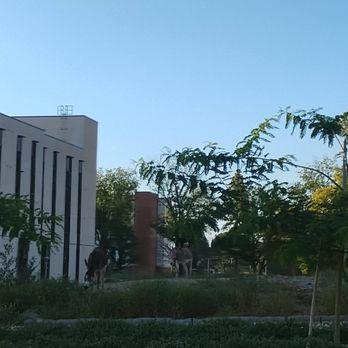 University of Riverside - Colleges & Universities Near Me - Riverside, California University of Riverside - Colleges & Universities Near Me - Riverside, California
