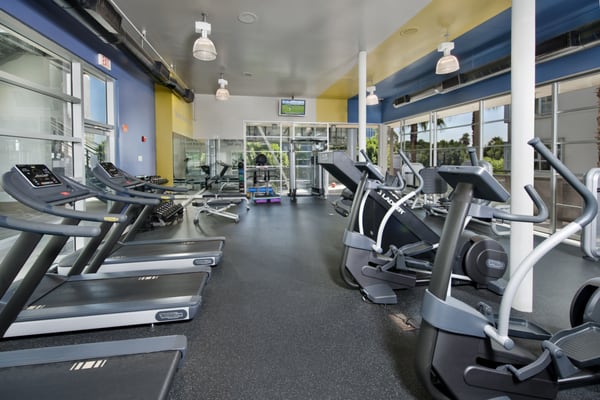 1555 Vine St by null