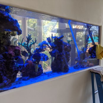 Complete Aquatic Services - 130 gallon custom mixed reef - Aquarium Services Near Me Complete Aquatic Services - 130 gallon custom mixed reef - Aquarium Services Near Me