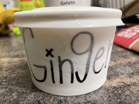 il laboratorio del gelato by null