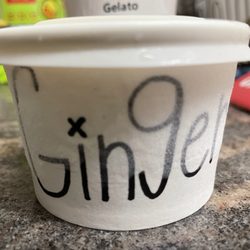 il laboratorio del gelato - Ginger Gelato