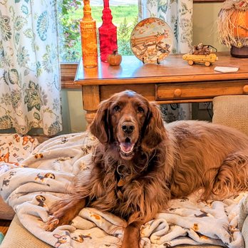 Sitting Pretty Pet Care - Pet Boarding Near Me - Fleming, Ohio