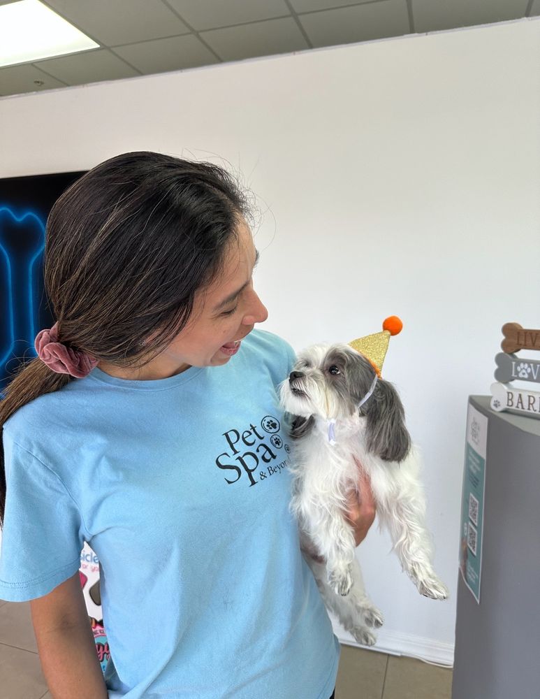 Pet Spa & Beyond Image