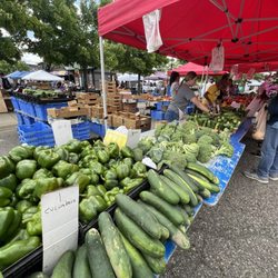 Farmington Farmers & Artisans Market