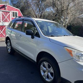 Premier Auto Detail - Shiny post clay treatment - Auto Detailing Near Me