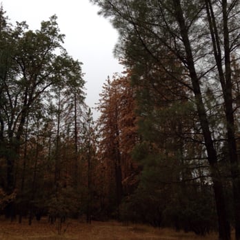 D & E Digs Vacation Rental - Outside - weather was a bit gray. - Guest Houses Near Me - Mariposa, California D & E Digs Vacation Rental - Outside - weather was a bit gray. - Guest Houses Near Me - Mariposa, California