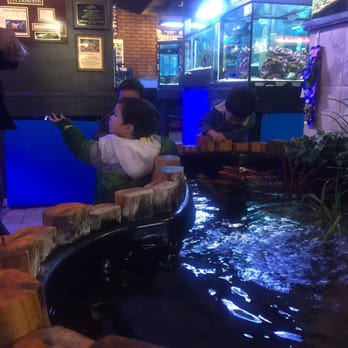 Absolutely Fish - Koi pond with white frog - Aquarium Services Near Me - Clifton, New Jersey