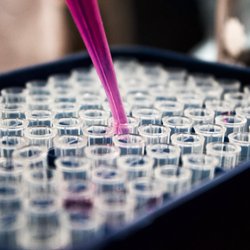 Regenerative Medical Institute - We perform Regenerative Medicine on our clients in the form of Stem Cell Therapy, IV Drip Therapy, PRP Injections, & Hormone Testing.