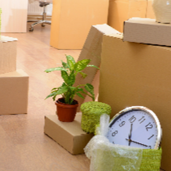 Bob Plaza Movers - Movers Near Me - Brick Township, New Jersey
