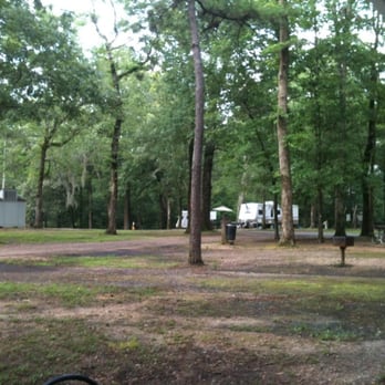 Chicot State Park - North campground - Parks Near Me - Ville Platte, Louisiana