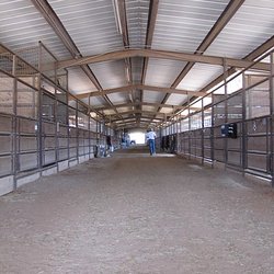 Stall & Oats