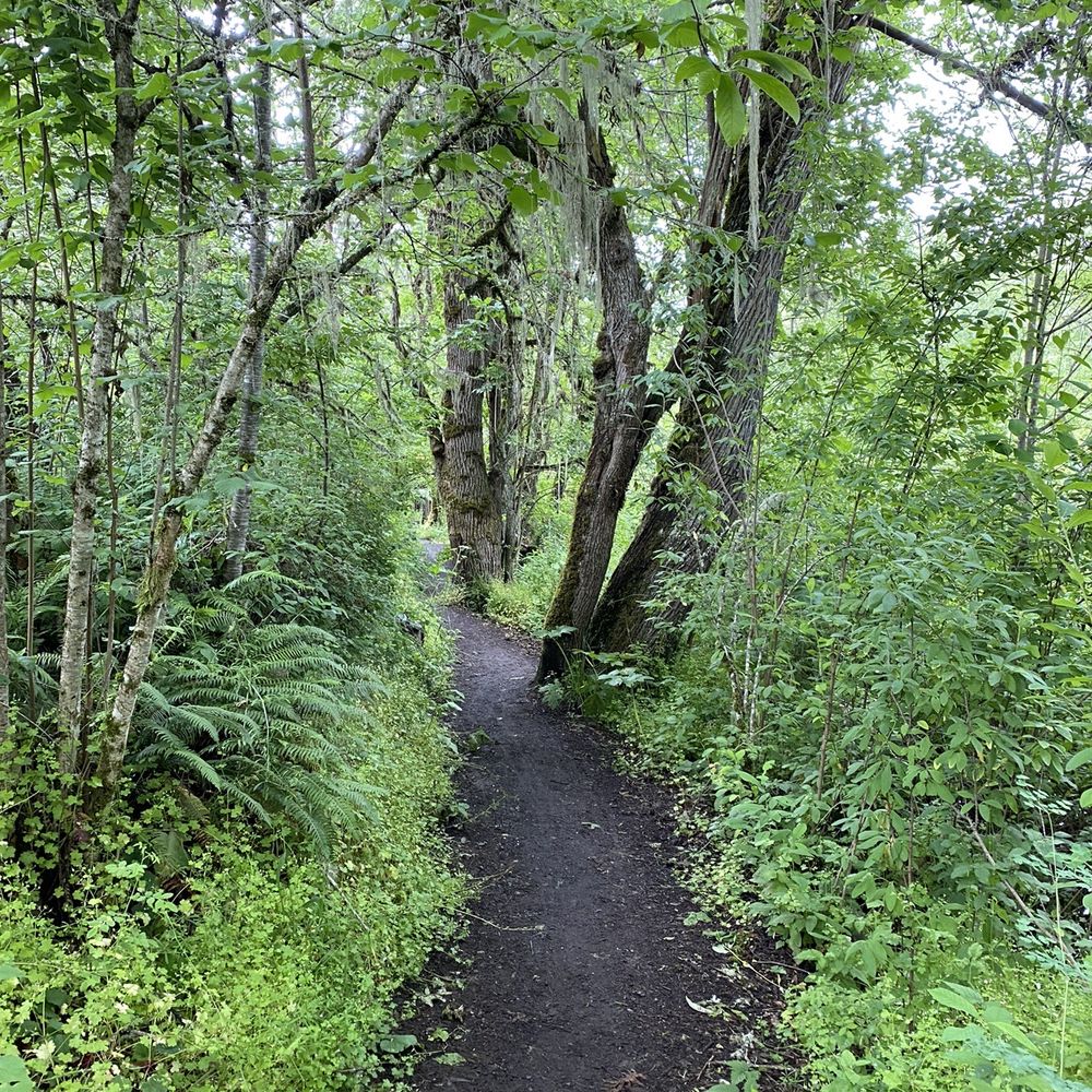 Mount Pisgah Arboretum - Trail to Lillys - Venues & Event Spaces Near Me - Eugene, Oregon Mount Pisgah Arboretum - Trail to Lillys - Venues & Event Spaces Near Me - Eugene, Oregon