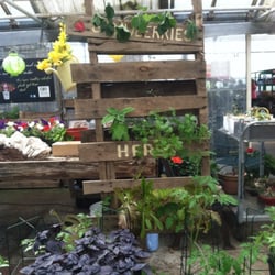 Mixed hanging pallet planter - also for sale