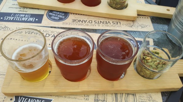 Vignoble Les Vents d'Ange by null