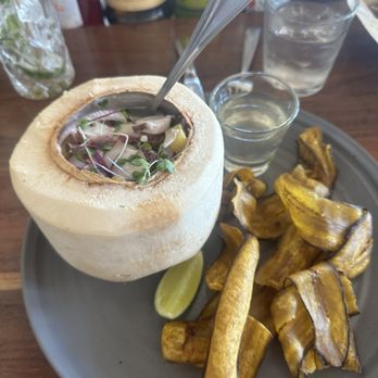 Flor De Maiz - Ceviche De Pulpo y Coco - Cocktail Bars Near Me - Santa Barbara, California Flor De Maiz - Ceviche De Pulpo y Coco - Cocktail Bars Near Me - Santa Barbara, California