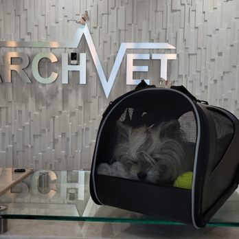 ARCHVET Emergency Hospital - Best Veterinarian in Santa Clara - Veterinarians Near Me - San Jose, California