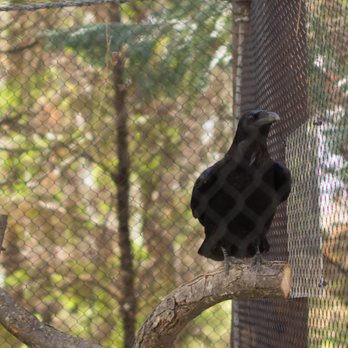 Turtle Bay Exploration Park - Museums Near Me - Redding, California