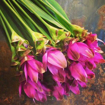 Flower @ttitude - Florists Near Me - Brussels, BRU
