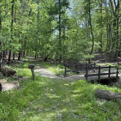 Garfield Park Reservation