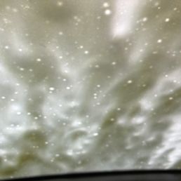 Inside the wash!