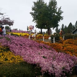 Flowers everywhere