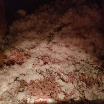 Pest Fighter - Another example of work performed by Pest Fighter. - Pest Control Near Me - Seattle, Washington Pest Fighter - Another example of work performed by Pest Fighter. - Pest Control Near Me - Seattle, Washington