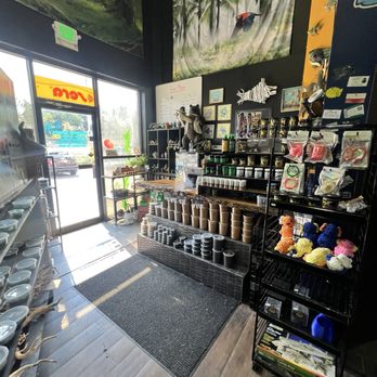 Fish Happens - Aquariums Near Me - Indianapolis, Indiana Fish Happens - Aquariums Near Me - Indianapolis, Indiana