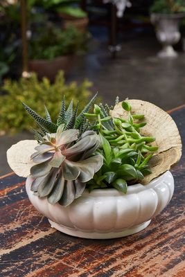 Daylily Floral Cascade by null