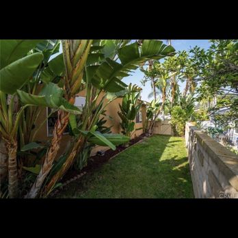 Benito's Gardening - Tree Services Near Me - San Juan Capistrano, California Benito's Gardening - Tree Services Near Me - San Juan Capistrano, California