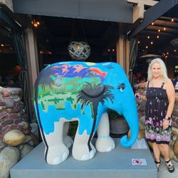 Gallery Dana Bay