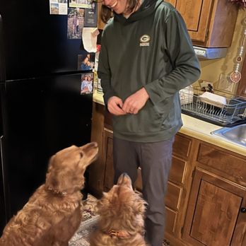 Infinite K9 Academy - Pet Training Near Me Infinite K9 Academy - Pet Training Near Me