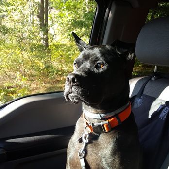 Boxford Handyman Services - Cujo - Handyman Near Me Boxford Handyman Services - Cujo - Handyman Near Me