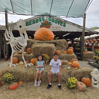 Bearss Groves - Farmers Market Near Me - Tampa, Florida Bearss Groves - Farmers Market Near Me - Tampa, Florida