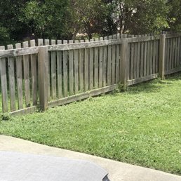 Freshly cut Freshly cut